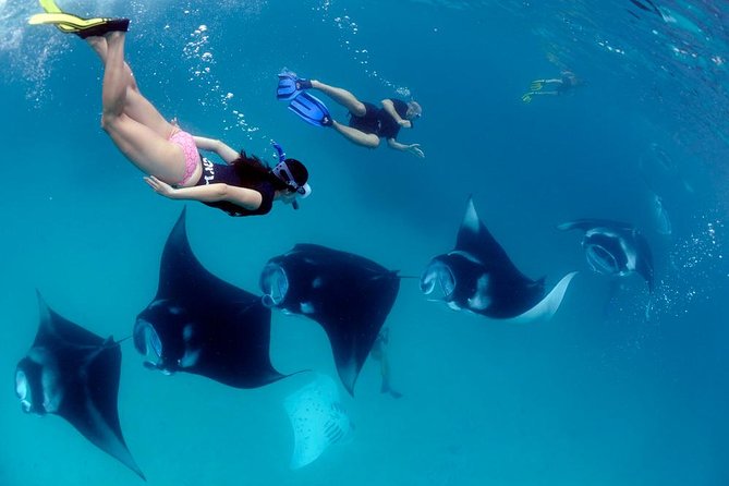 Nusa Penida Snorkeling Adventure (Private & All-Inclusive) - A 6:00 am start from Bali