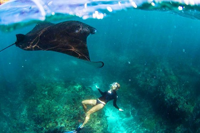 Nusa Penida Snorkeling & Kelingking Tour - Key points at a glance