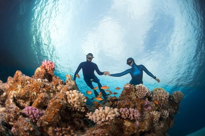 Nusa Penida : Snorkeling Trip Manta Point, Gamat Bay and Wall Bay - Gamat Bay: coral gardens and smaller sea life