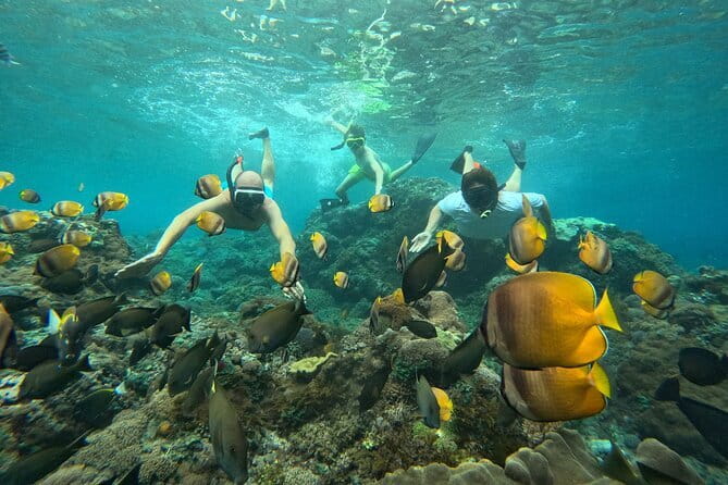 Nusa Penida : Snorkeling Trip Manta Point, Gamat Bay and Wall Bay - Manta Point: the morning’s big wildlife chance