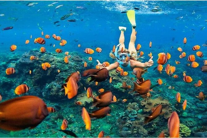 Nusa Penida Trip with Snorkeling all-Inclusive - What to know before booking