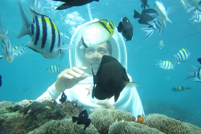 Nusa Penida Trip with Snorkeling all-Inclusive - Why this package makes sense from Bali