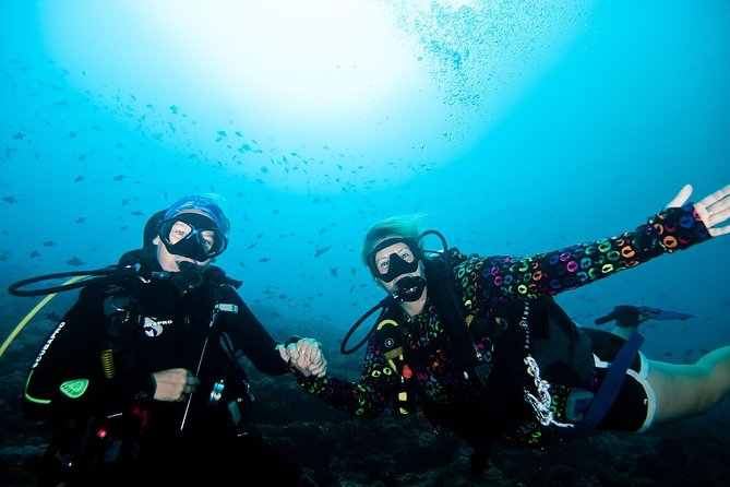 Nusa Penida Try Scuba Diving Program - for Non-Certified Divers - Key points before you book