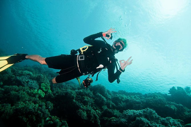 Nusa Penida Two Dives Trip for Certified Divers - Starting at Pure Dive Resort in Ped at 8 a.m.