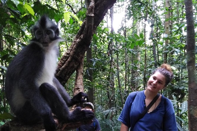 ONE DAY JUNGLE TREKKING 6-7 hours (see orang utan) + RAFTING in BUKIT LAWANG - Lunch, fresh fruit, and a needed pause