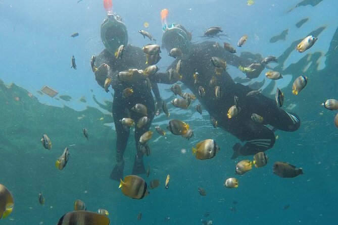 One Day Snorkeling Trip & West Tour Nusa Penida by Penidago - Four snorkeling stops, with Manta Bay never guaranteed
