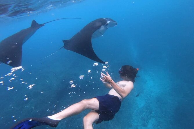 One Day Snorkeling Trip & West Tour Nusa Penida by Penidago - The return is part of the price