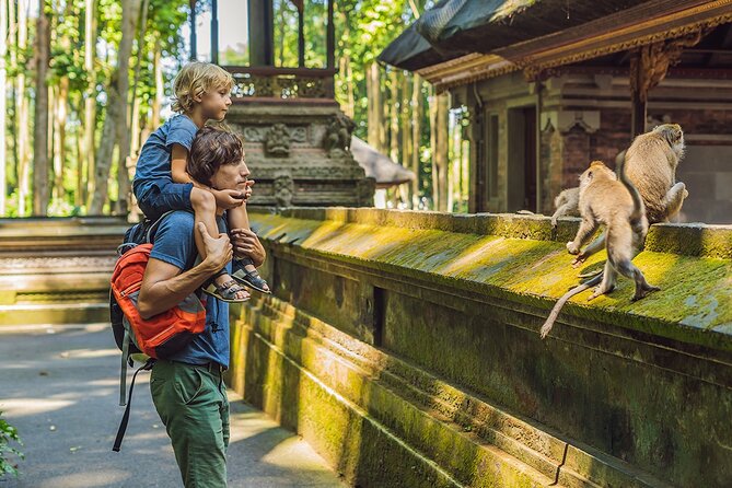 One Day Tour Ubud With Private Guide - Key points to know before booking