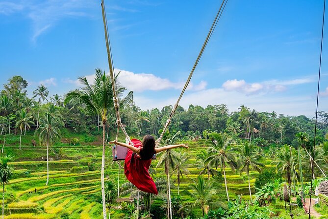 One Day Tour Ubud With Private Guide - Understanding the water ritual at Tirta Empul