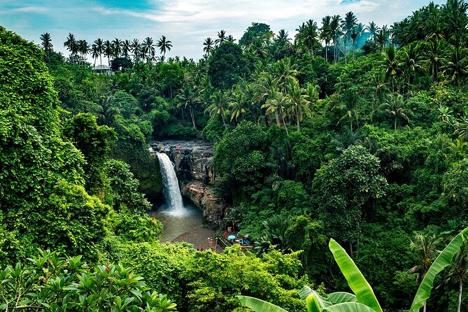 One Day Tour Ubud With Private Guide - What the $18.24 price really gives you