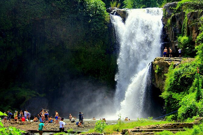 One Day Tour Ubud With Private Guide - Guides, flexibility, and the human side of the tour