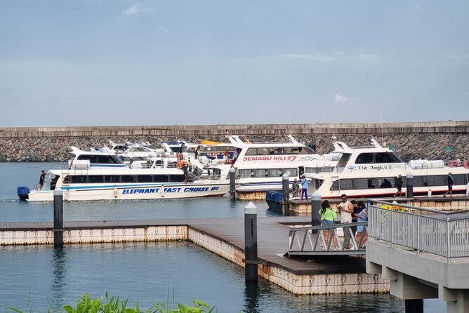 One-way Ticket Fast Boat from Sanur Bali or Nusa Penida - Who should book this crossing