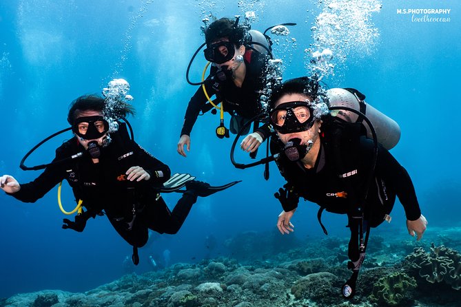Open Water Course in Pemuteran - Get Certified in Bali - Day one: online theory and pool practice