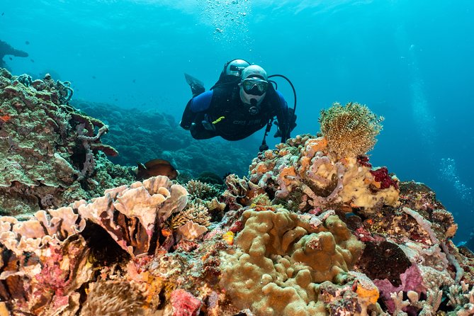 Open Water Course in Pemuteran - Get Certified in Bali - What to bring and how to plan the three days