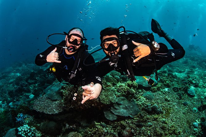 Open Water Course in Tulamben - Get Certified in Bali - Equipment, facilities, and the on-site warung