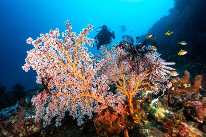 Open Water Course in Tulamben - Get Certified in Bali - What the $376.92 price covers