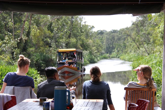 Orangutan Safari Kelotok Houseboat 3 Days 2 Nights Private - From Pangkalan Bun to the Sekonyer River