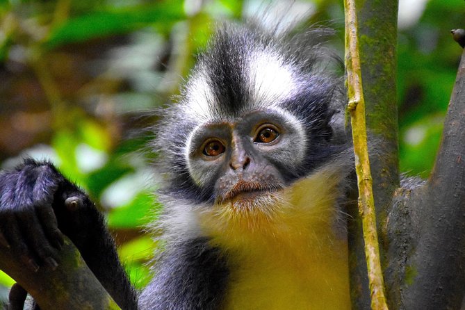 ORANGUTAN TREK (2D/1N) by EcoTravel Bukit Lawang - Food, sleeping comfort, and personal preparation