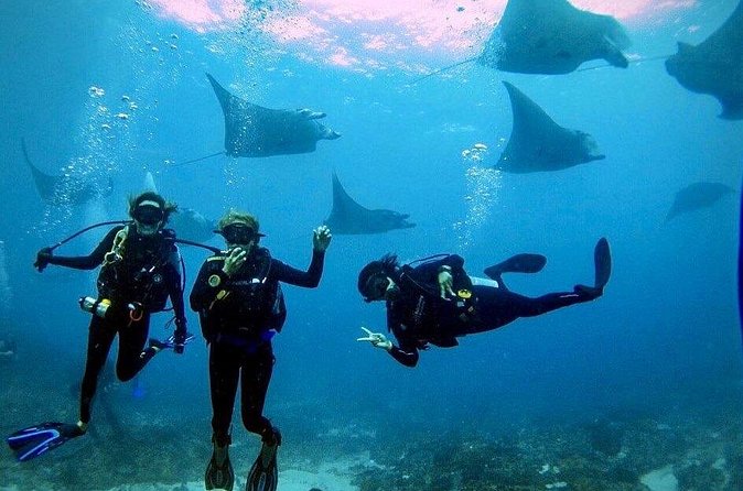 PADI Open water Course in Lembongan - Get certified & dive anywhere in the world - Days two and three: four ocean sessions around the islands