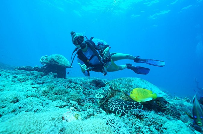 PADI Open water Course in Lembongan - Get certified & dive anywhere in the world - Physical demands, timing, and weather concerns