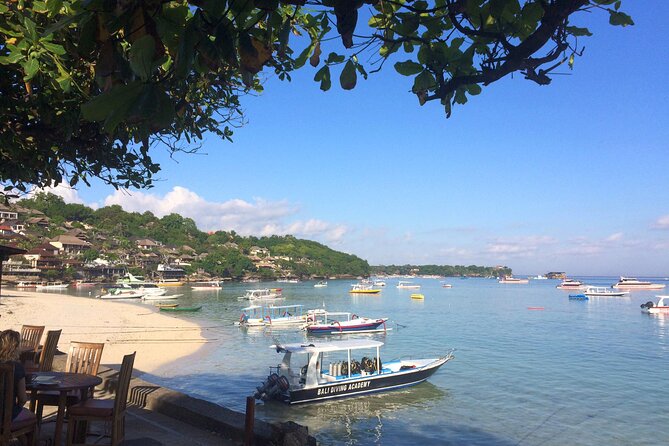 PADI Open water Course in Lembongan - Get certified & dive anywhere in the world - Day one: online theory and confined-water practice