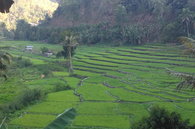 Pauls Flores Tour Labuan Bajo to Ende Flores Land Tour inland by Car 6 Days - What the $1,209.36 price really buys