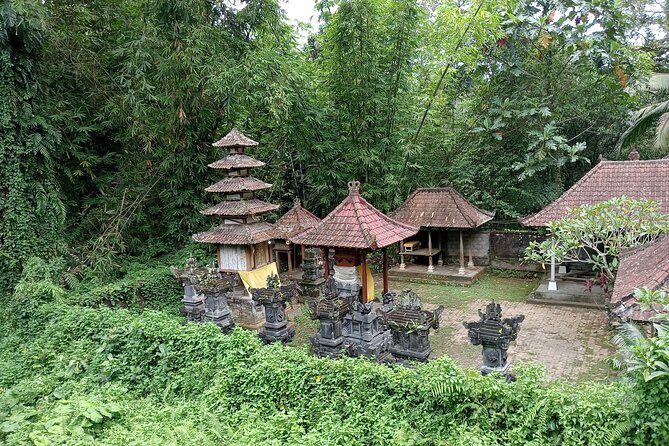 Penglipuran Village Waterfall Swing Private Guided Tour - Sidan Rice Terrace and the Bali swing