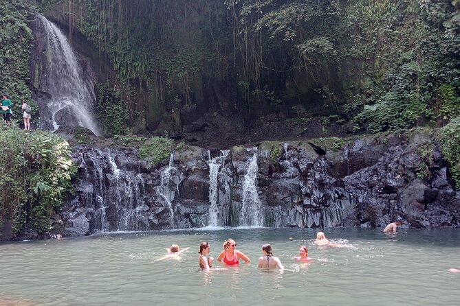 Penglipuran Village Waterfall Swing Private Guided Tour - Kemenuh Monkey River and the Petanu River forest