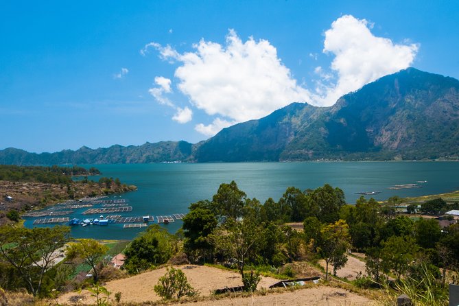 Pick 5 Destinations: Customized Ubud Tour - Tegalalang Rice Terrace: beautiful views with a short walk