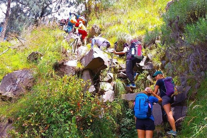 Popular Rinjani Trekking Tour Service To Summit For 2 Days Via Sembalun Trail - What the $243 price really covers