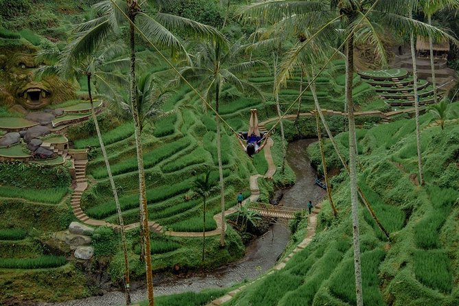 Private 4-Day Tours - Best Bali Tours Package - Best of Bali Highlights - Who will get the most from these four days