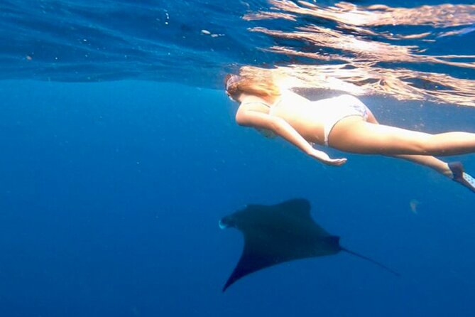 Private All Inclusive Nusa Penida Snorkeling and Tour - Why this Nusa Penida day works