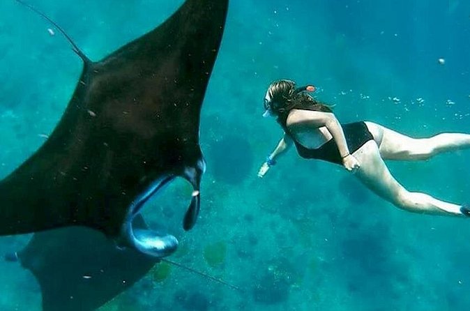 Private All Inclusive Nusa Penida Snorkeling and Tour - Kelingking Beach and the T-Rex cliff
