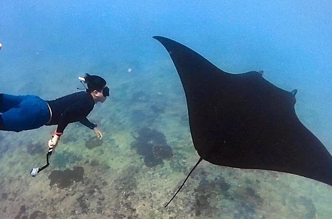 Private All Inclusive Nusa Penida Snorkeling and Tour - Transport, staff, and the private format