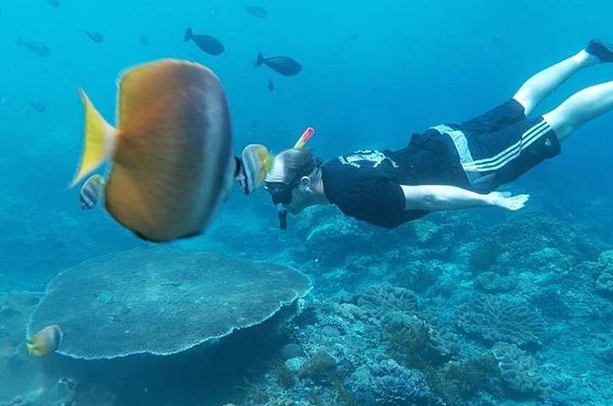 Private All Inclusive Nusa Penida Snorkeling and Tour - Price, booking timing, and cancellation