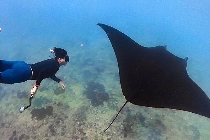 Private All Inclusive Nusa Penida Snorkeling and Tour - Manta Point: the day’s biggest draw