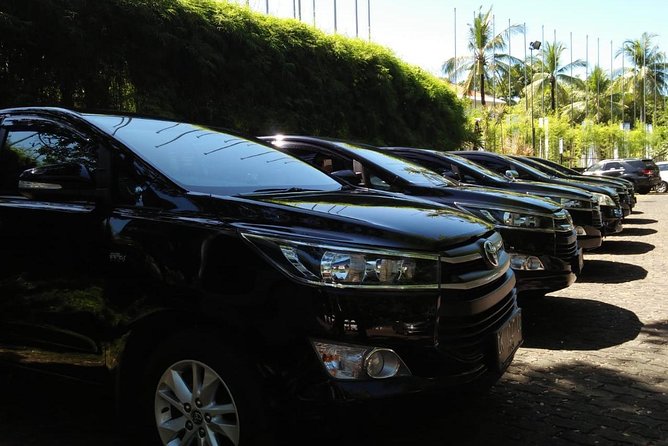 Private Bali Airport Arrival Transfer: Airport to Hotel (Arrival) - What the private vehicle is like