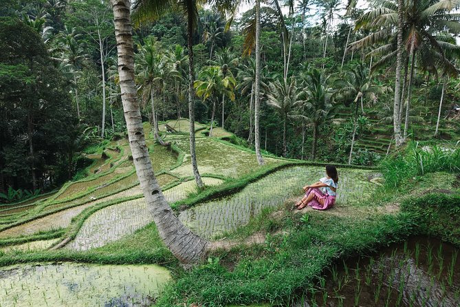 Private Bali Car Charter with Driver up to 6 People - What is included and what you still pay
