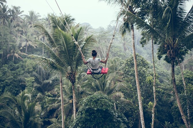 Private Bali Car Charter with Driver up to 6 People - South Bali route: GWK, beaches, and Uluwatu