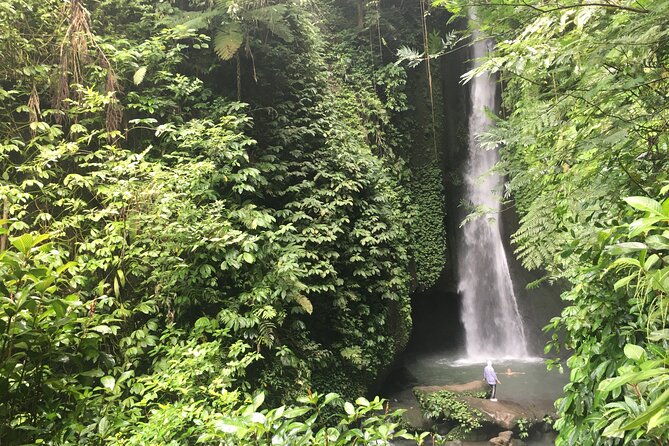 Private Bali Custom Tour – Full Day with English-Speaking Driver - Central Bali waterfalls, from quick stops to wet walks