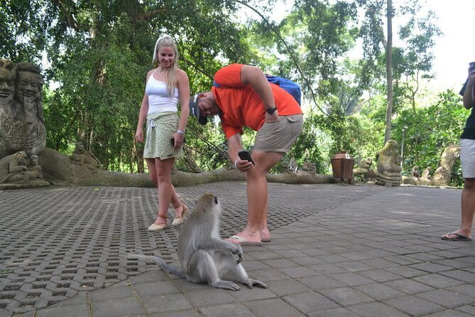 Private Bali Customized Tours - Beaches, crafts, and evening performances