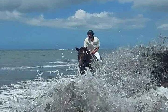 Private Bali Horse riding at saba beach - Why sunset is the best time to consider