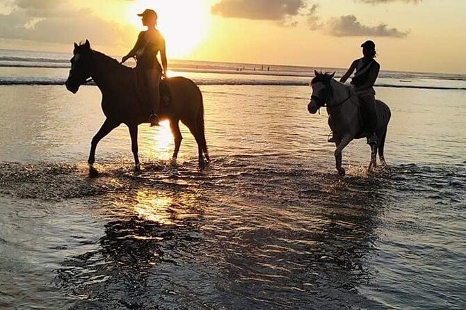 Private Bali Horse riding at saba beach - Horse behavior and welfare: the key concern