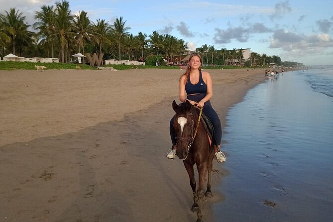 Private Bali Horse Riding In Seminyak Beach - Horse care: a point that deserves careful attention
