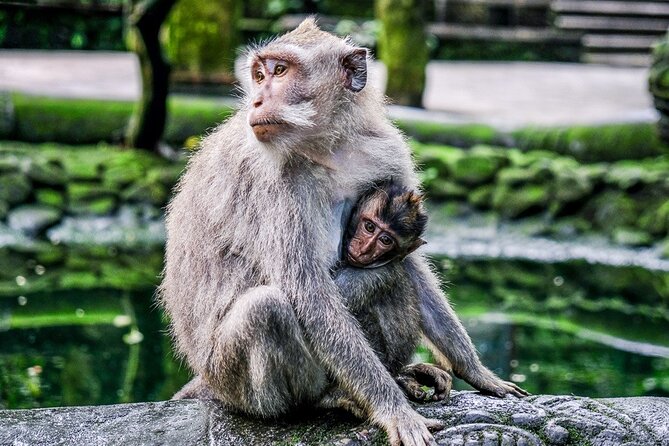 Private Bali Tour - All Inclusive - How the driver-guide affects the day