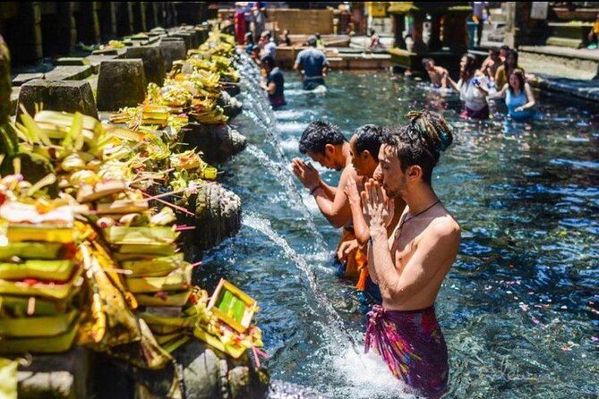 Private Bali Tour - All Inclusive - Sacred Monkey Forest: an energetic first stop