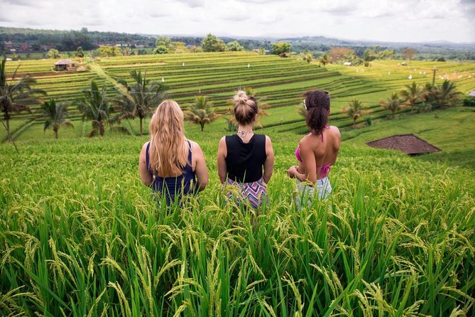 Private Bali Tour: The Most Scenic Places - Is $65 a good value?