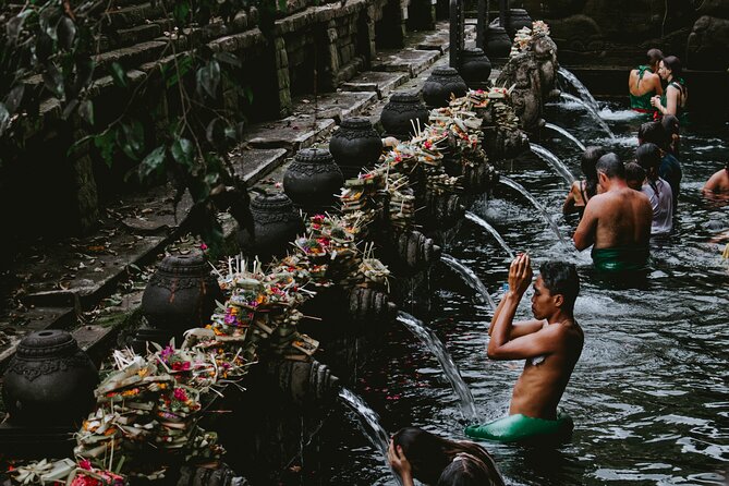 Private Bali Tour with Lisensed Bali Driver - Tegalalang Rice Terrace: a quick look at Bali’s farming country