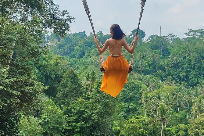 Private Bali Tour with Lisensed Bali Driver - Tegenungan Waterfall: a scenic stop with limited time