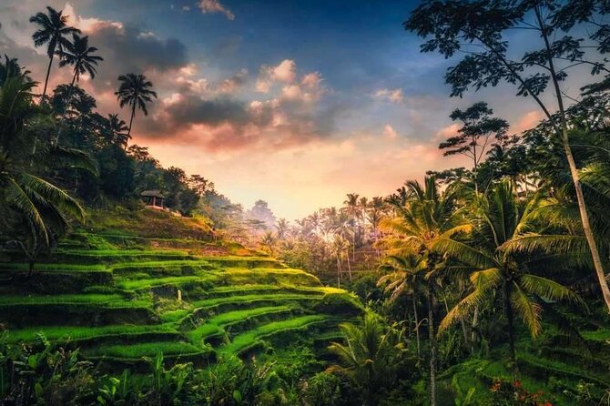 Private Bali Tour with Lisensed Bali Driver - Tirta Empul Temple: the day’s clearest cultural encounter
